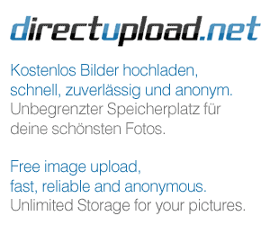 www.directupload.net