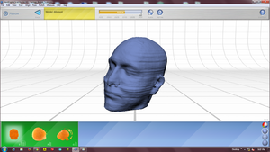 Head Model after being aligned