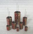 Cache-electrolytic-capacitor-small.jpg