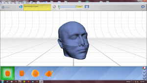 Head Model after being aligned