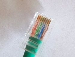 Close Up of the RJ45 end.